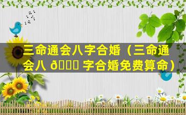 三命通会八字合婚（三命通会八 🐘 字合婚免费算命）